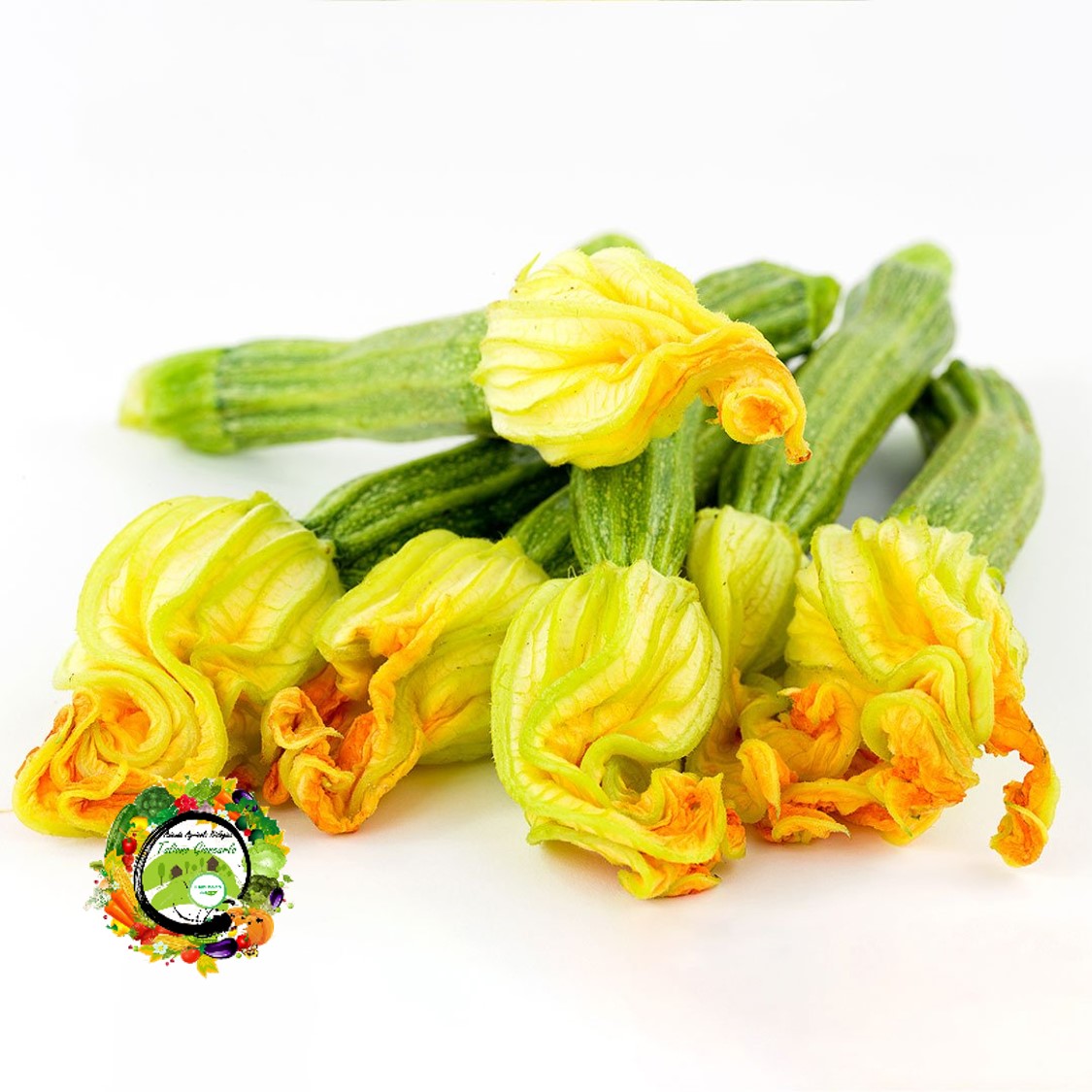 zucchini
