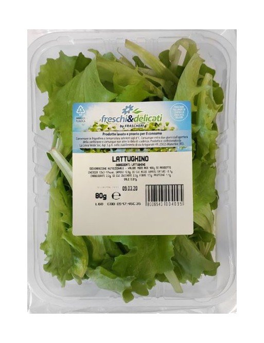 insalata-lattughino-frascheri-gr80