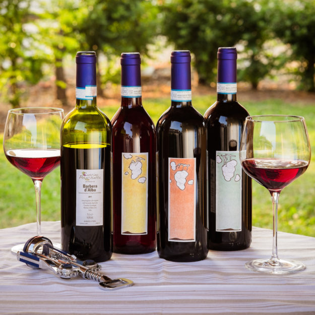 Azienda agricola & Agriturismo Cascina Ponchietta