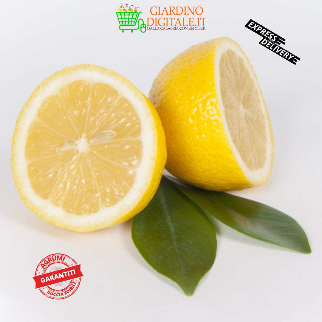 limoni interdonato femminiello verna calabria buccia edibile giardino digitale